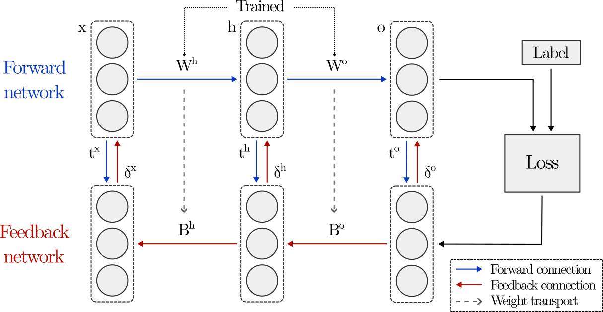 Figure of the dual-network configuration