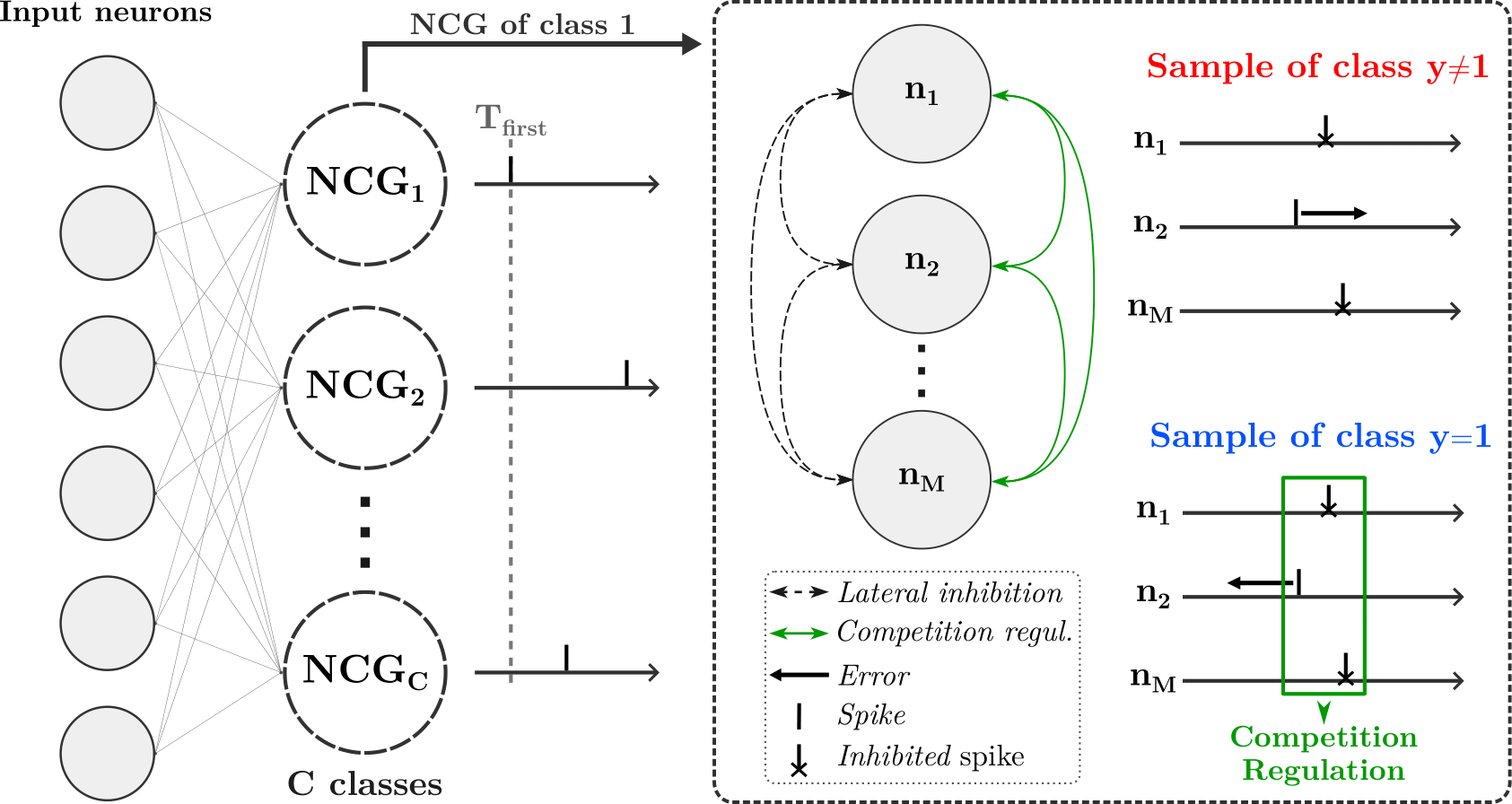 Figure of the NCG architecture