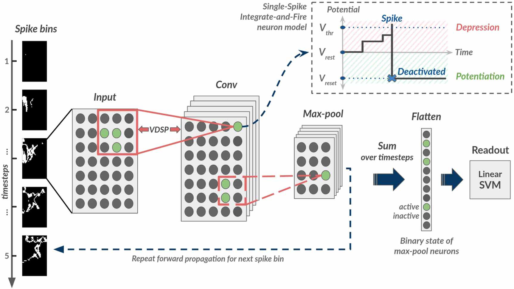 Figure of the CSNN-VDSP architecture